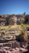 The Canyon